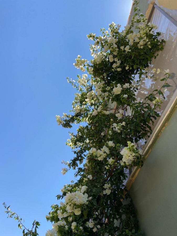Simple Home มาดาบา ภายนอก รูปภาพ